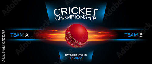 Cricket vector background. Sportive design style banner
