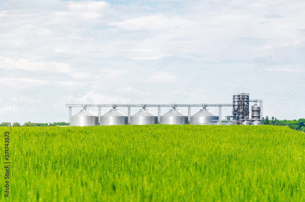 Metal modern elevator in the field of wheat