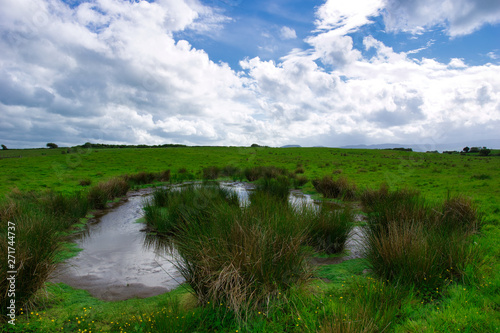 Aka Speckled Mountain,Carrowkeel, Co. Sligo, Ireland