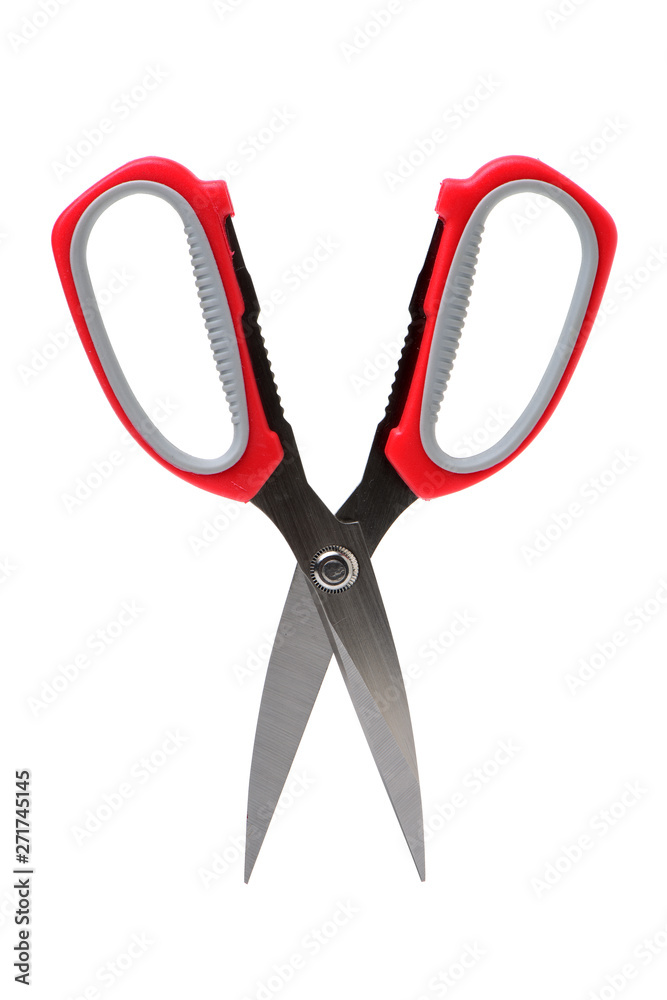 scissors on a white background scissors on a white background