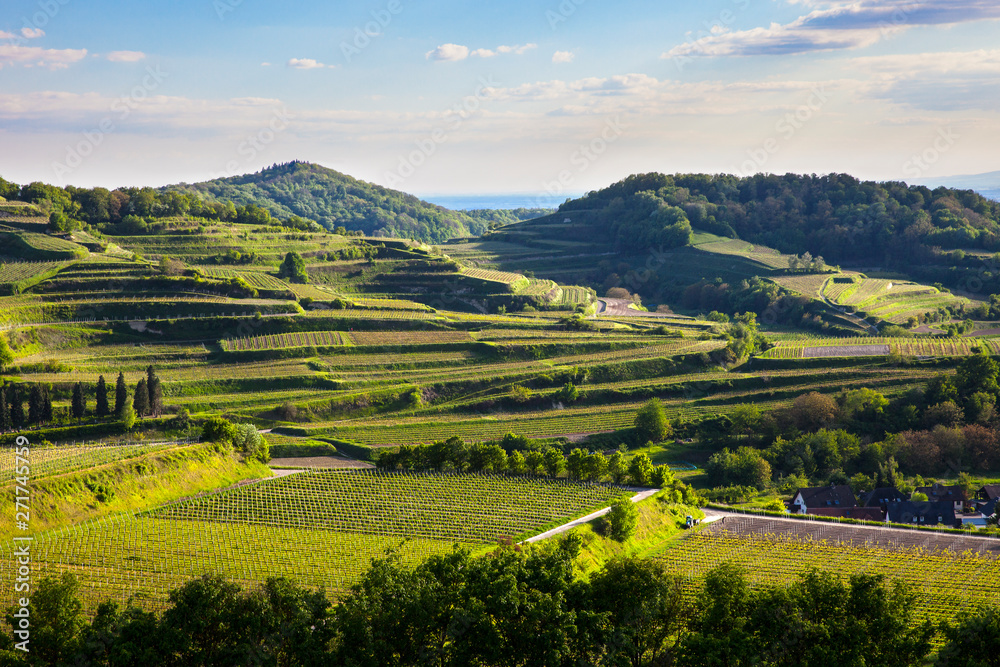 Obraz premium Kaiserstuhl_9071