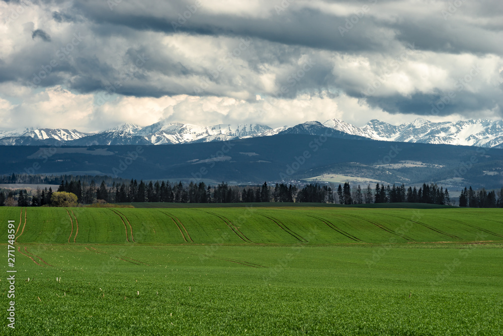 Summer view to the green meadow with simetrice spaced roads , Tatra mountains,  Poland, Europe. 