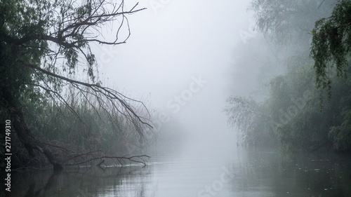 First light of a misty and foggy morning creating a picturesque atmosphere at the Danube Delta Romania