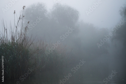 First light of a misty and foggy morning creating a picturesque atmosphere at the Danube Delta Romania © Oren