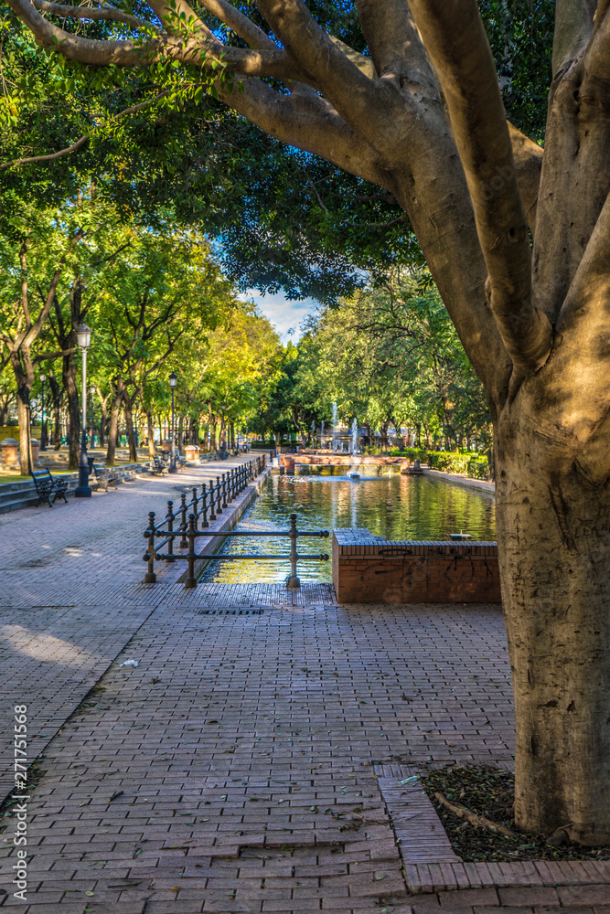 park with pond park with pond