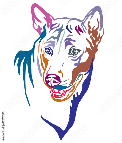 Colorful decorative portrait of Thai Ridgeback Dog vector illustration