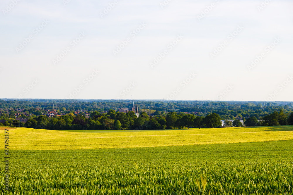 Getreidefelder am Niederrhein mit Blick auf die hügelige Landschaft aufgenommen an einem sonnigen Abend