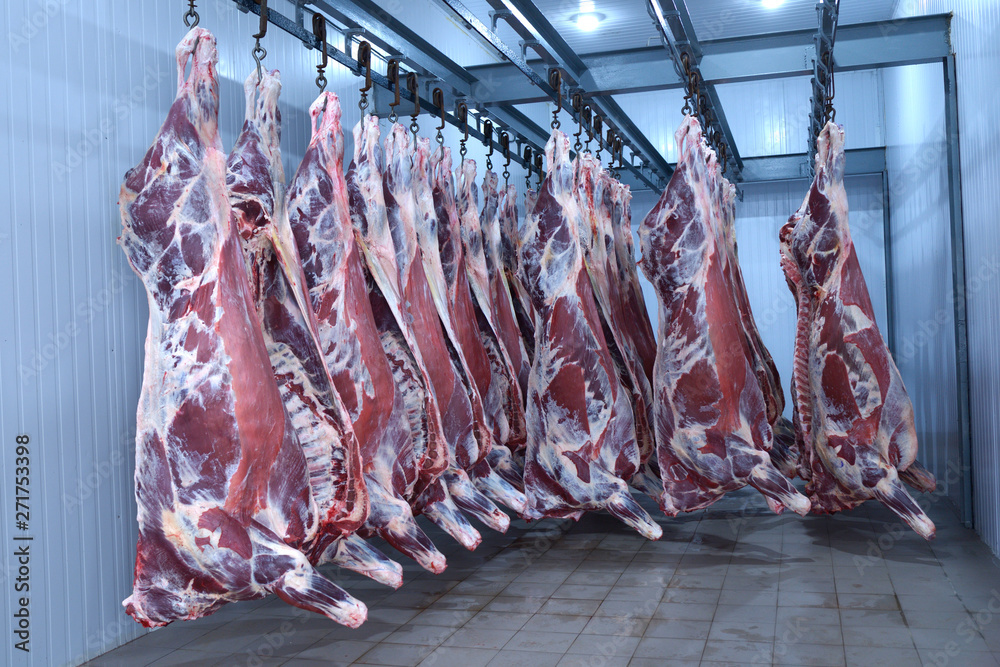 market,animal,fresh,food,freezer,deep,raw,meat,beef,hanging,hooked,cold,storage,  meat, flesh, food, blood, clean, carcase, carcass, beef, bovine, skin,  flay, raw, butchering, cut, meat, blood, hoist, Stock Photo