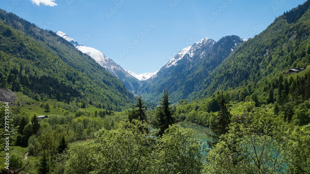 Austrian nature with snowy mountains behind 