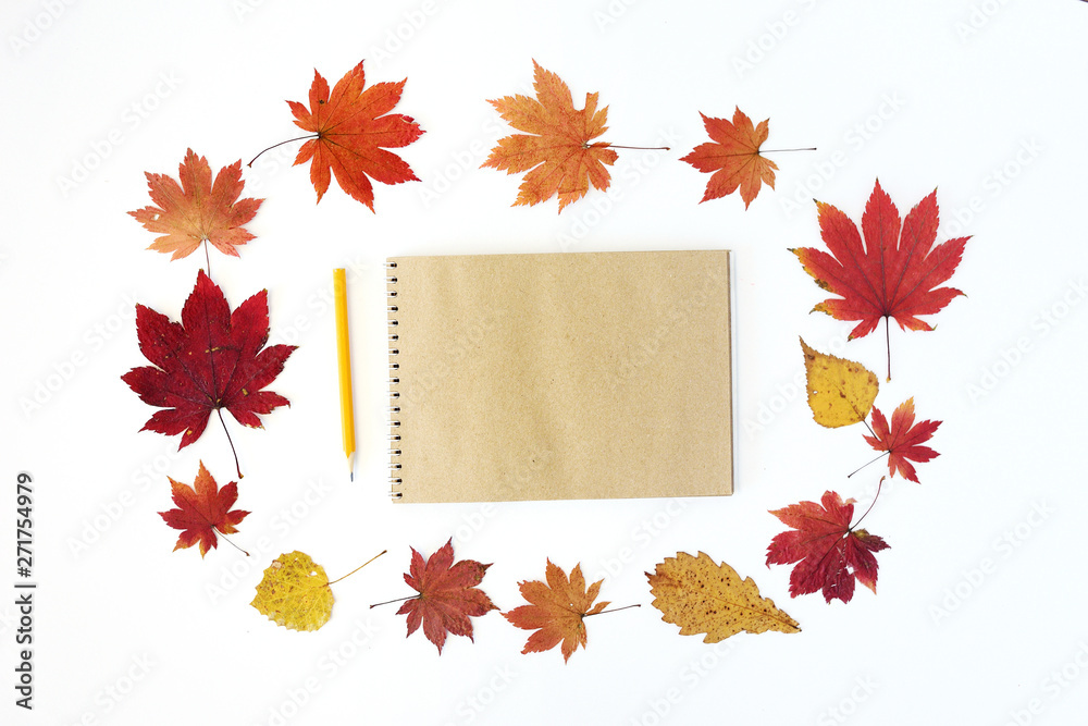 collection beautiful colorful autumn leaves isolated on white background collection beautiful colorful autumn leaves isolated on white background
