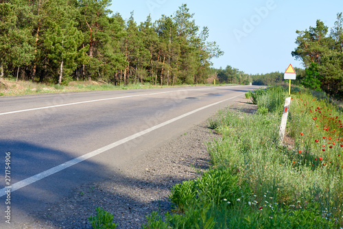 Tableau sur toile asphalt road along the forest, summer day