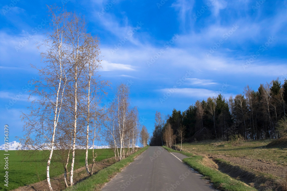 Fototapeta premium 日本 北海道 絶景の道と青空