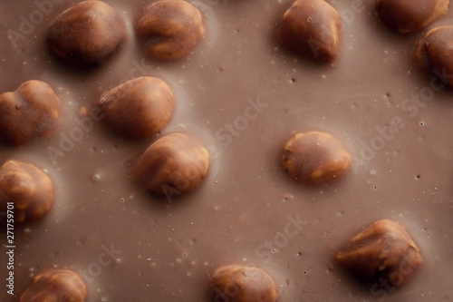 Tasty nuts lays on milk chocolate