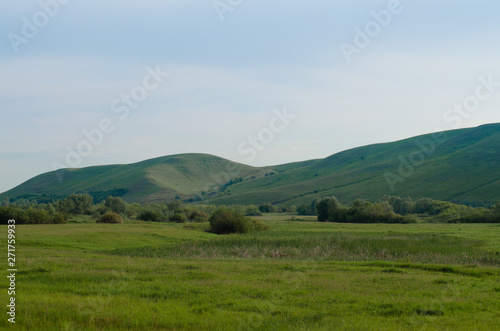 Summer landscape hills and meadows at sunrise with blue sky and green grass © Денис Родионов