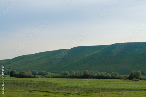 Summer landscape hills and meadows at sunrise with blue sky and green grass