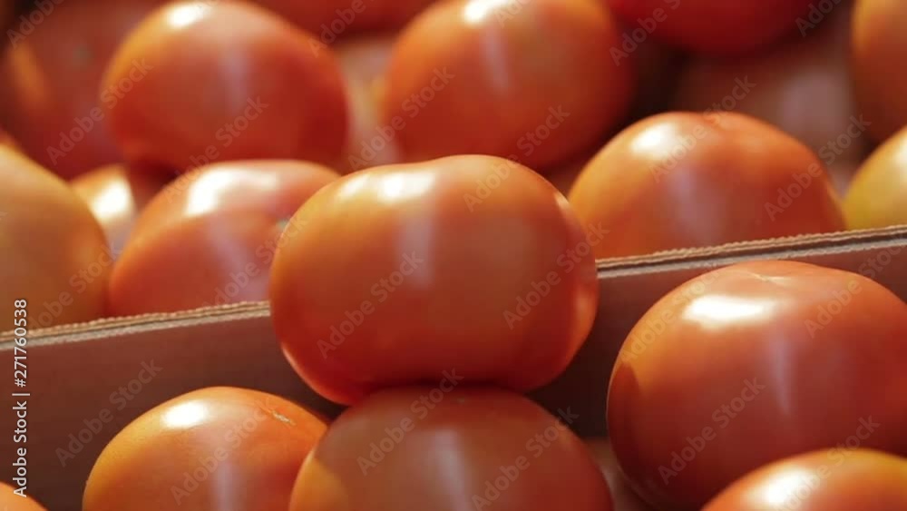 Hand puts tomatoes in boxes Hand puts tomatoes in boxes