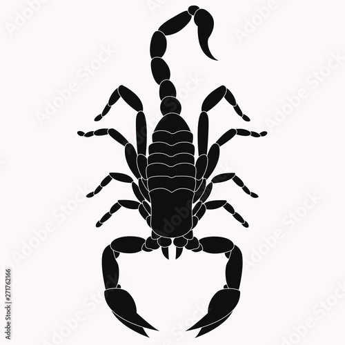 An animal silhouette of a scorpion