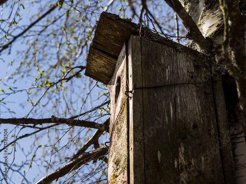 An aging birdhouse, empty and waiting for new residents