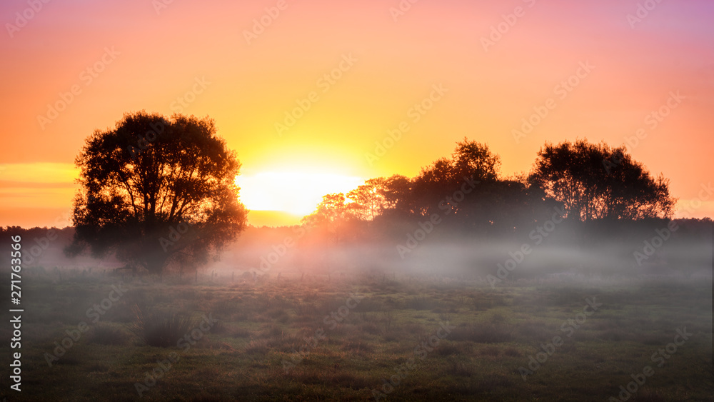 Fototapeta premium Herbstlicher Sonnenaufgang im Moor mit Nebel (Steinhuder Meer, Niedersachsen) / foggy sunrise in a German moor