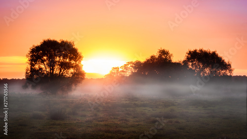 Herbstlicher Sonnenaufgang im Moor mit Nebel  Steinhuder Meer  Niedersachsen    foggy sunrise in a German moor