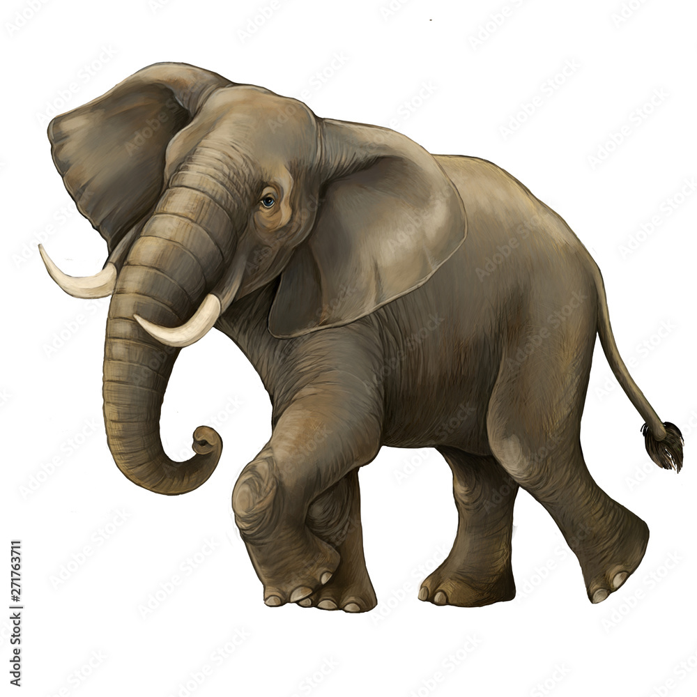 cartoon scene with big elephant on white background safari illustration for  childrencartoon scene with big elephant on white background safari  illustration for children Stock Illustration