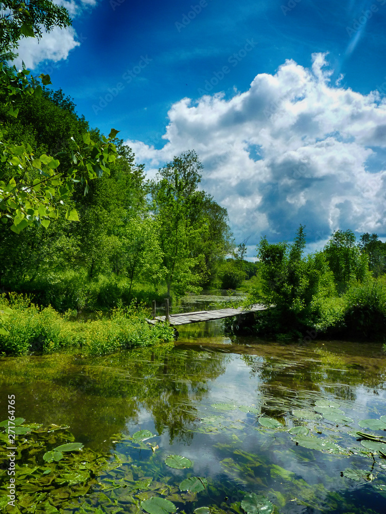 Fototapeta premium rivière