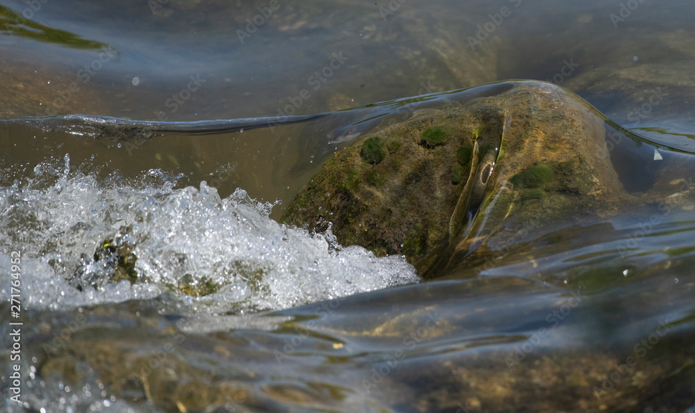 Obraz premium Schaumkrone in einem Bach