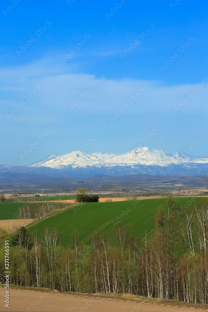Fototapeta premium 日本 北海道 山と青空背景
