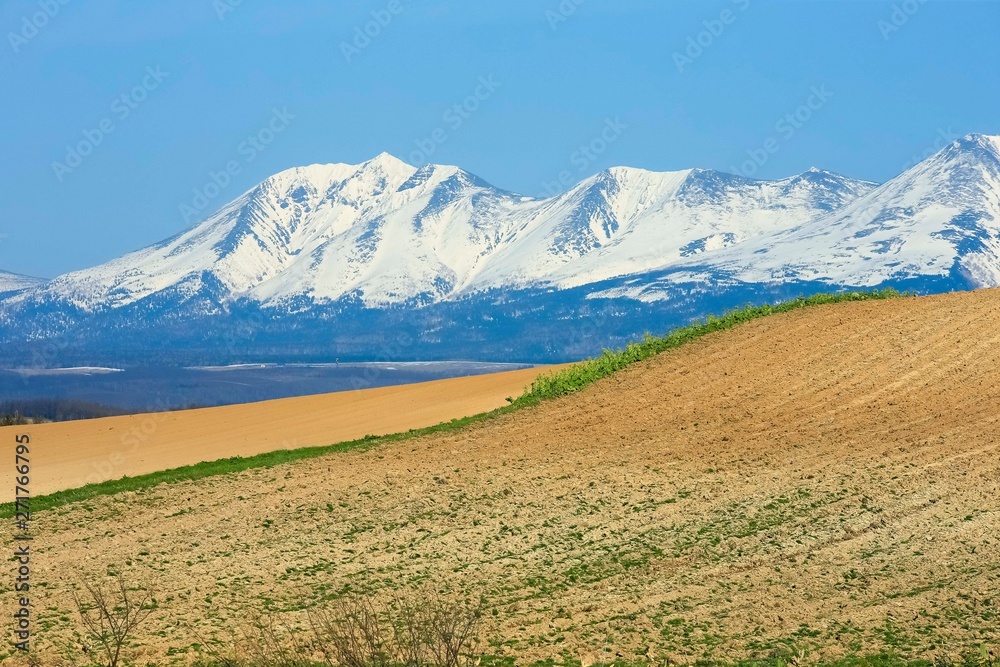 Fototapeta premium 日本 北海道 山と青空背景