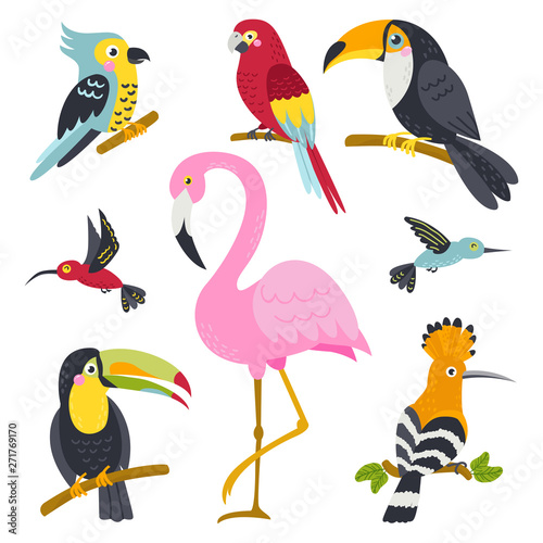 Vector set of cute birds from jungle