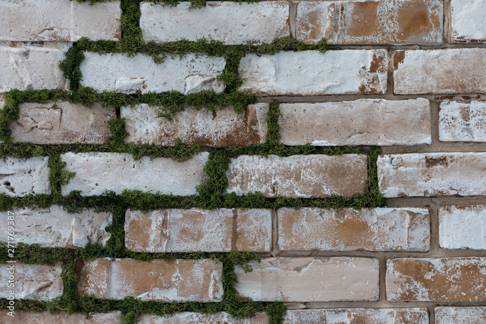 Decorative white brick wall with moss, design elements. Decorative white brick wall with moss, design elements.