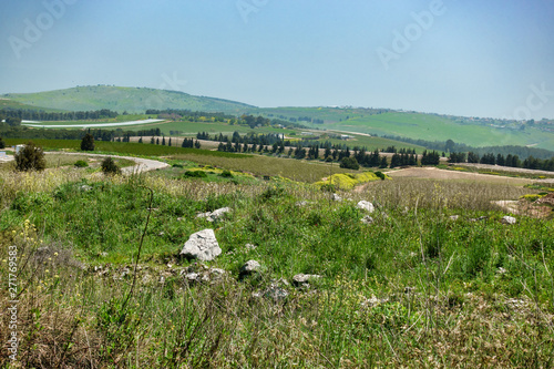 Daytime spring view in Upper Galilee, Israel