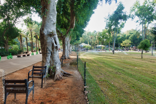 Watering the lawn at Meir Garden, Tel Aviv, Israel photo