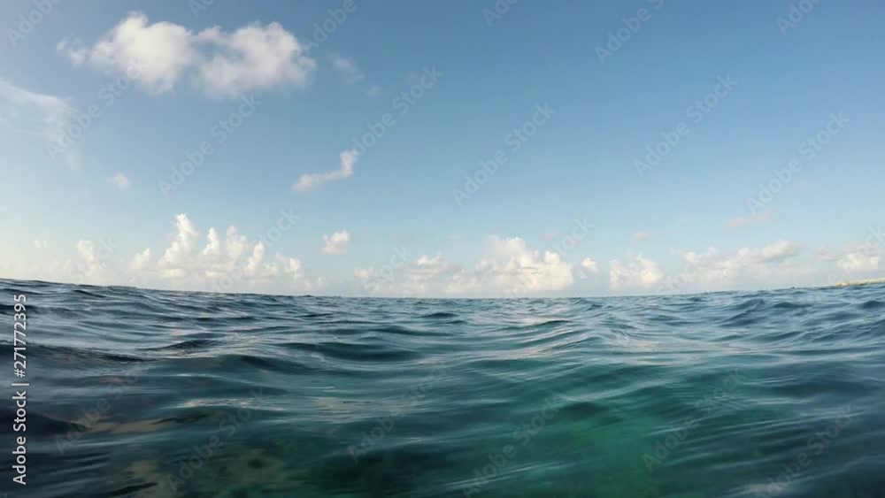an der Wasseroberfläche schwimmen, bei blauem Himmel mit Wolken