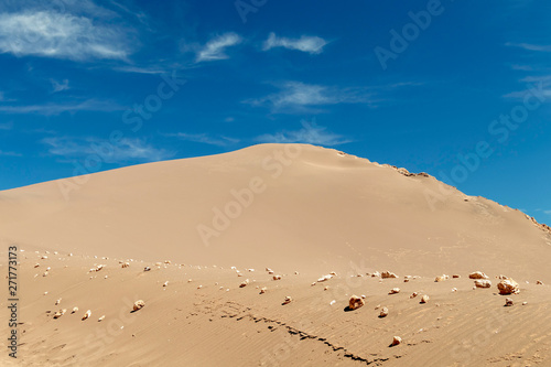 Sand dunes in Moon Valley  Valle de la Luna   Atacama Desert  Chile