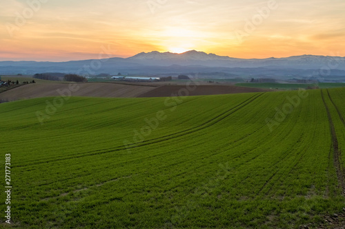 日本 北海道 朝の風景