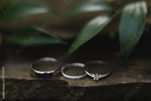 Modern wedding jewelry. Closeup of two wedding rings and bride's engagement ring on natural background.