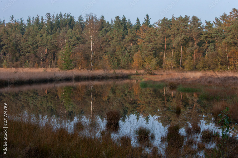 Moor Echten drente Netherlands Moor Echten drente Netherlands