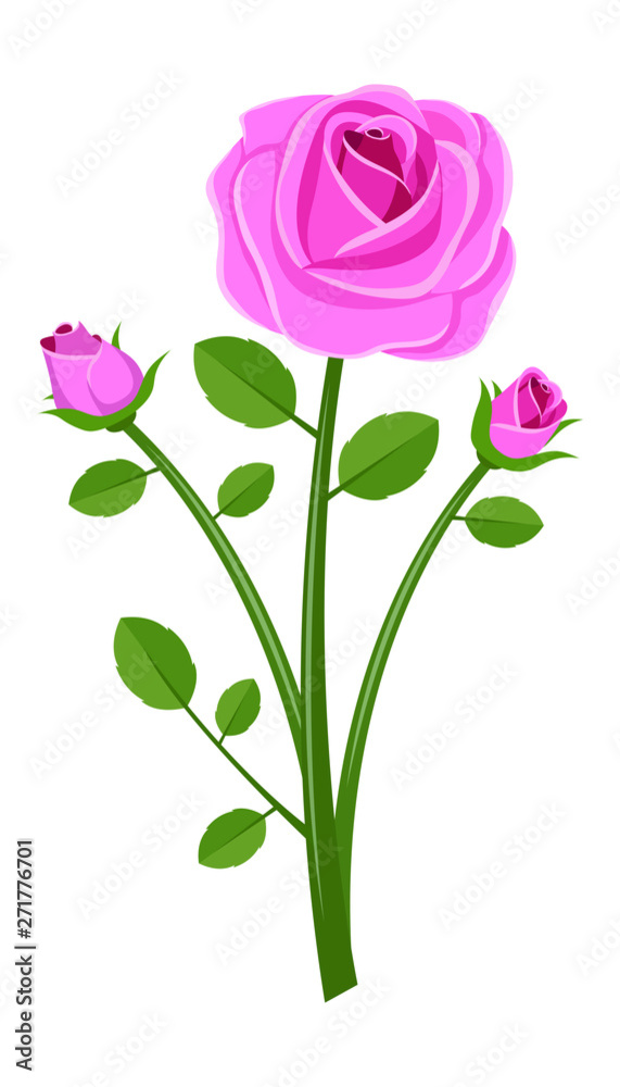 Vintage roses vector design illustration isolated on white background