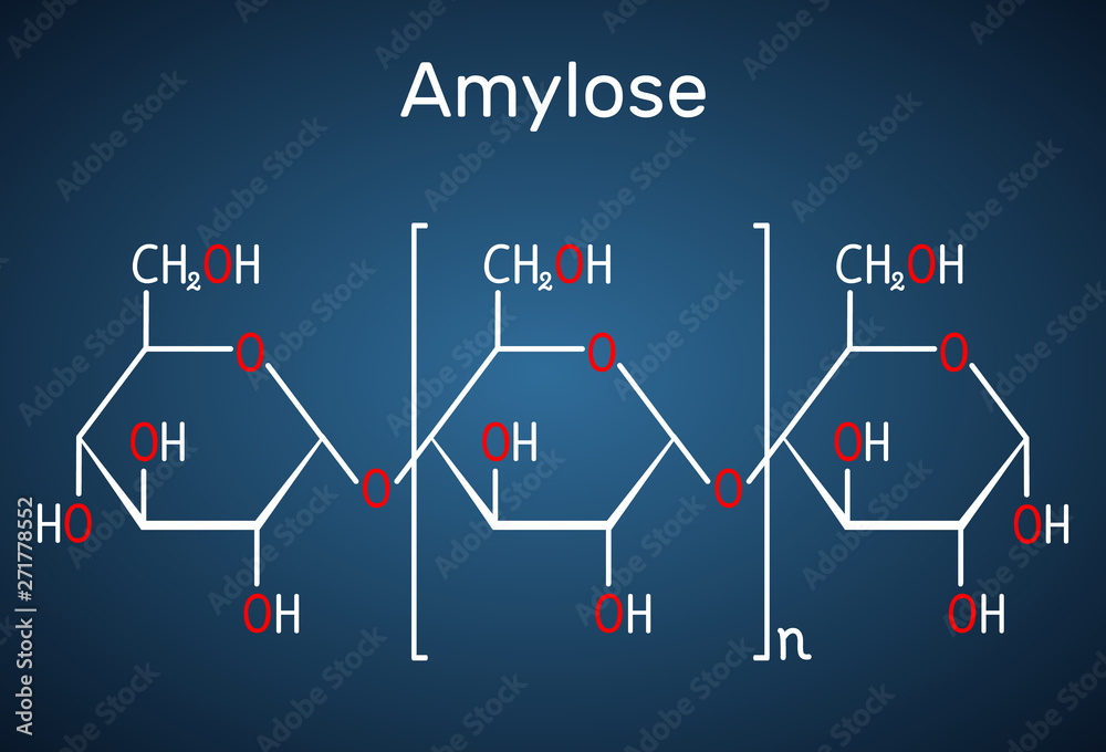 Amylose molecule. It is a polysaccharide and one of the two components