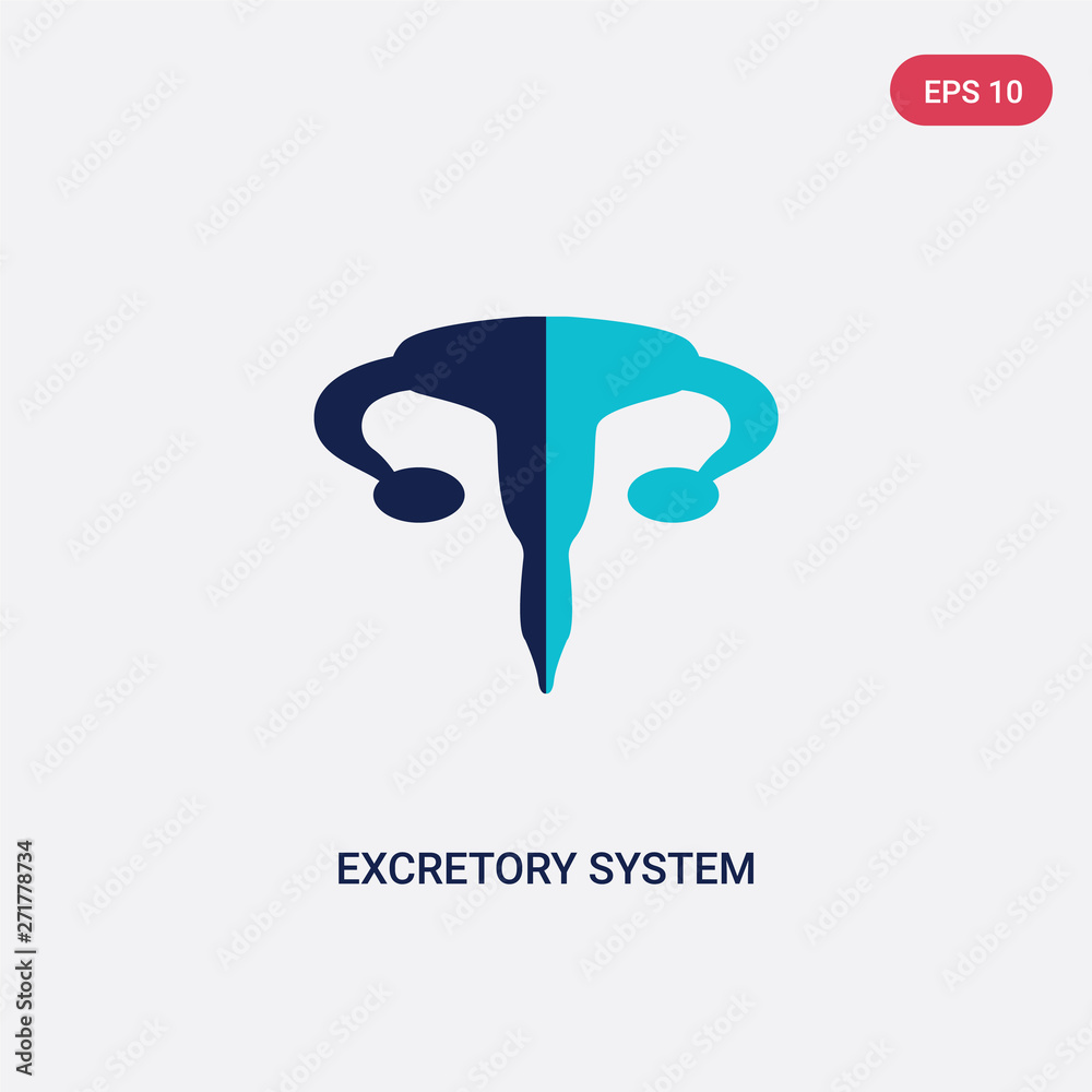 Fototapeta premium two color excretory system vector icon from human body parts concept. isolated blue excretory system vector sign symbol can be use for web, mobile and logo. eps 10