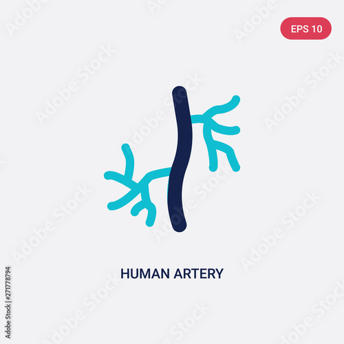 two color human artery vector icon from human body parts concept. isolated blue human artery vector sign symbol can be use for web, mobile and logo. eps 10