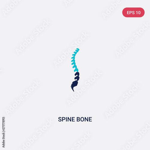 two color spine bone vector icon from human body parts concept. isolated blue spine bone vector sign symbol can be use for web, mobile and logo. eps 10