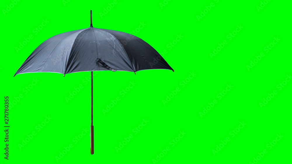 A black umbrella that is open, cutting the background into a green background