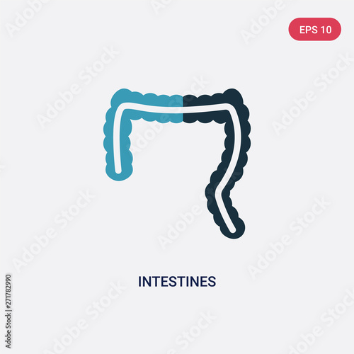 two color intestines vector icon from medical concept. isolated blue intestines vector sign symbol can be use for web, mobile and logo. eps 10