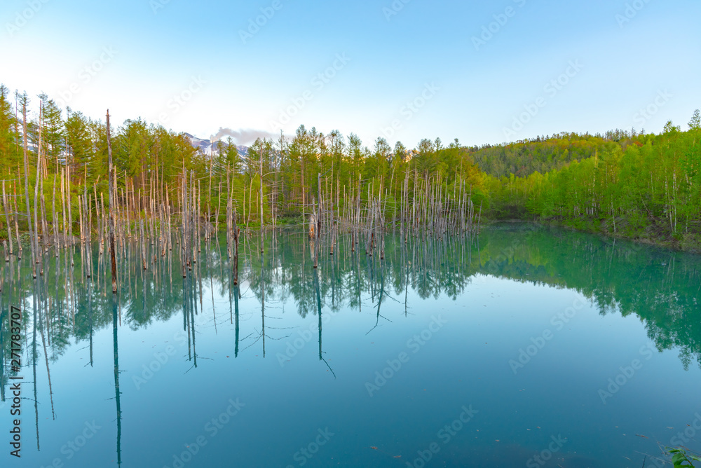 Blue pond (Aoiike) with reflection of tree in summer, located near Shirogane Onsen in Biei Town, Hokkaido, Japan 