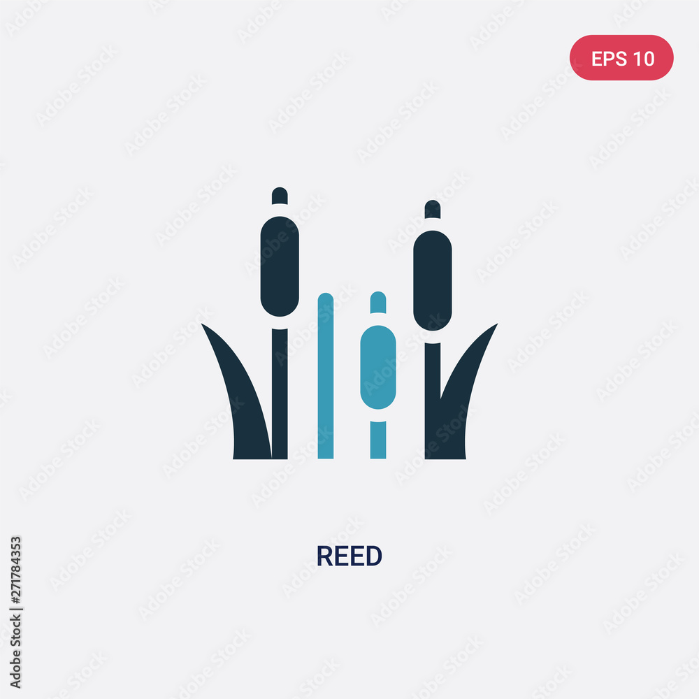 Obraz premium two color reed vector icon from nature concept. isolated blue reed vector sign symbol can be use for web, mobile and logo. eps 10