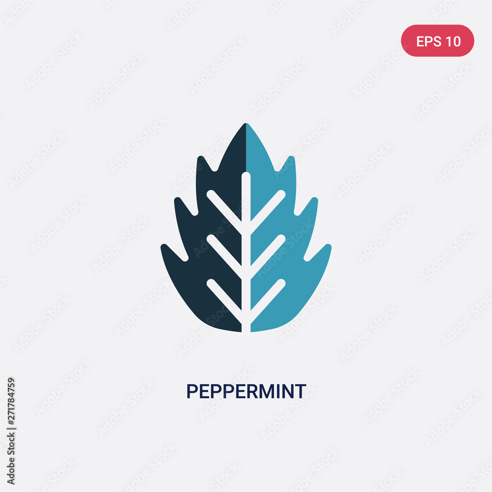 two color peppermint vector icon from nature concept. isolated blue peppermint vector sign symbol can be use for web, mobile and logo. eps 10