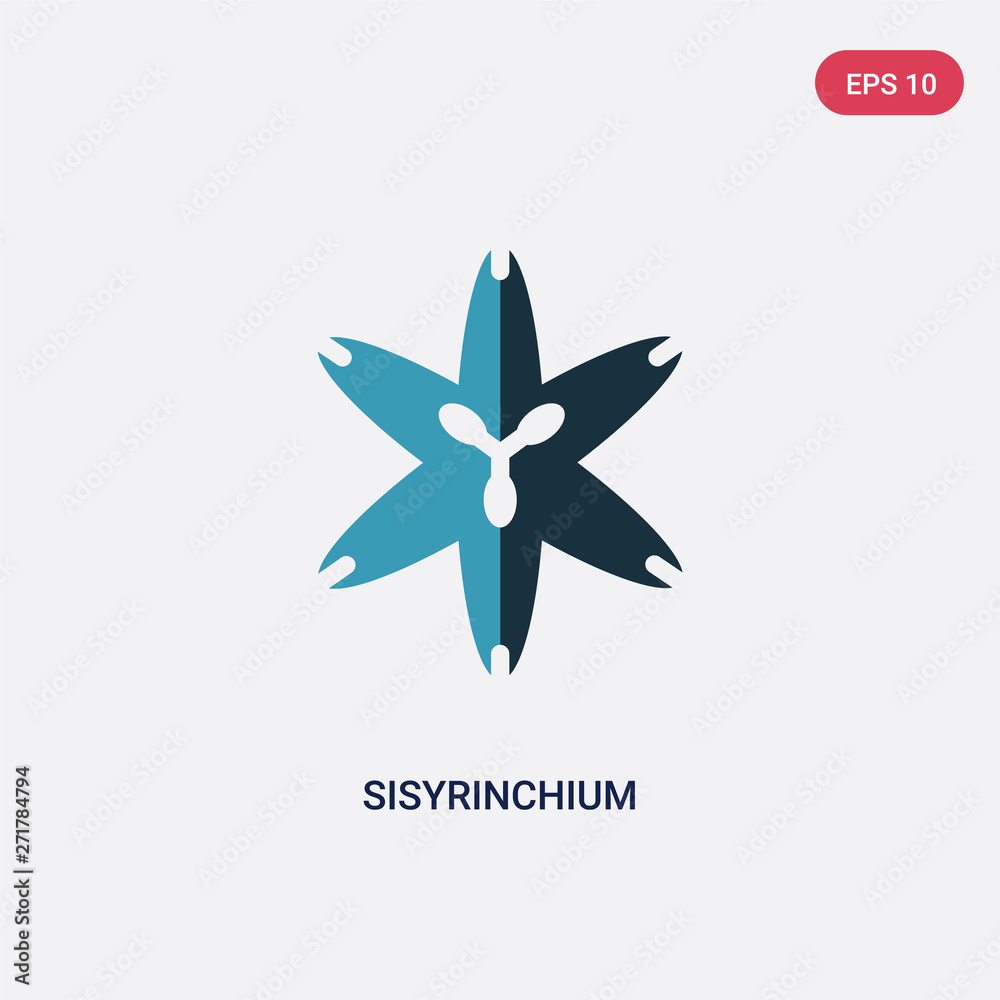 two color sisyrinchium vector icon from nature concept. isolated blue sisyrinchium vector sign symbol can be use for web, mobile and logo. eps 10