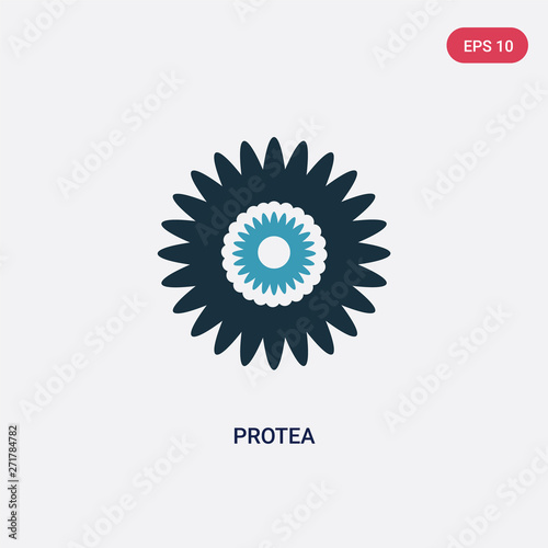two color protea vector icon from nature concept. isolated blue protea vector sign symbol can be use for web, mobile and logo. eps 10